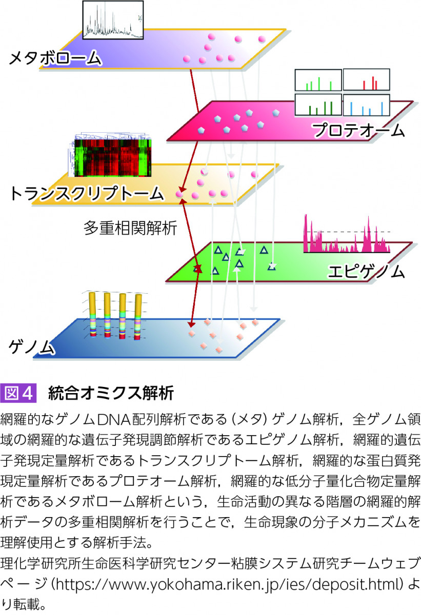 実験医学増刊 Vol.32 No.5 常在細菌叢が操るヒトの健康と疾患?メタゲノムなどの革新的解析法が明らかにした消化器・代謝・神経・小児疾患との関わりとプレ・プロバイオティクス，細菌移植などの治療応用 (実験医学増刊 Vol. 32-5) 実験医学増刊 Vol.32 No.5 常在細菌叢が操るヒトの健康と疾患